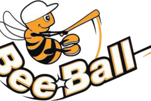 Honkbal - Beeball (t/m 10 jaar)